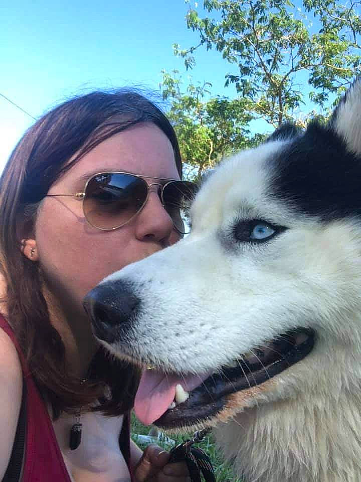 Psycho participe au concours pour gagner de l'argent avec cette photo : canidae, carnivore, companion_dog, dog, dog_breed, eyewear, fawn, glasses, goggles, happy, jaw, personal_protective_equipment, recreation, sky, sled_dog, snout, sporting_group, sunglasses, tree, vision_care