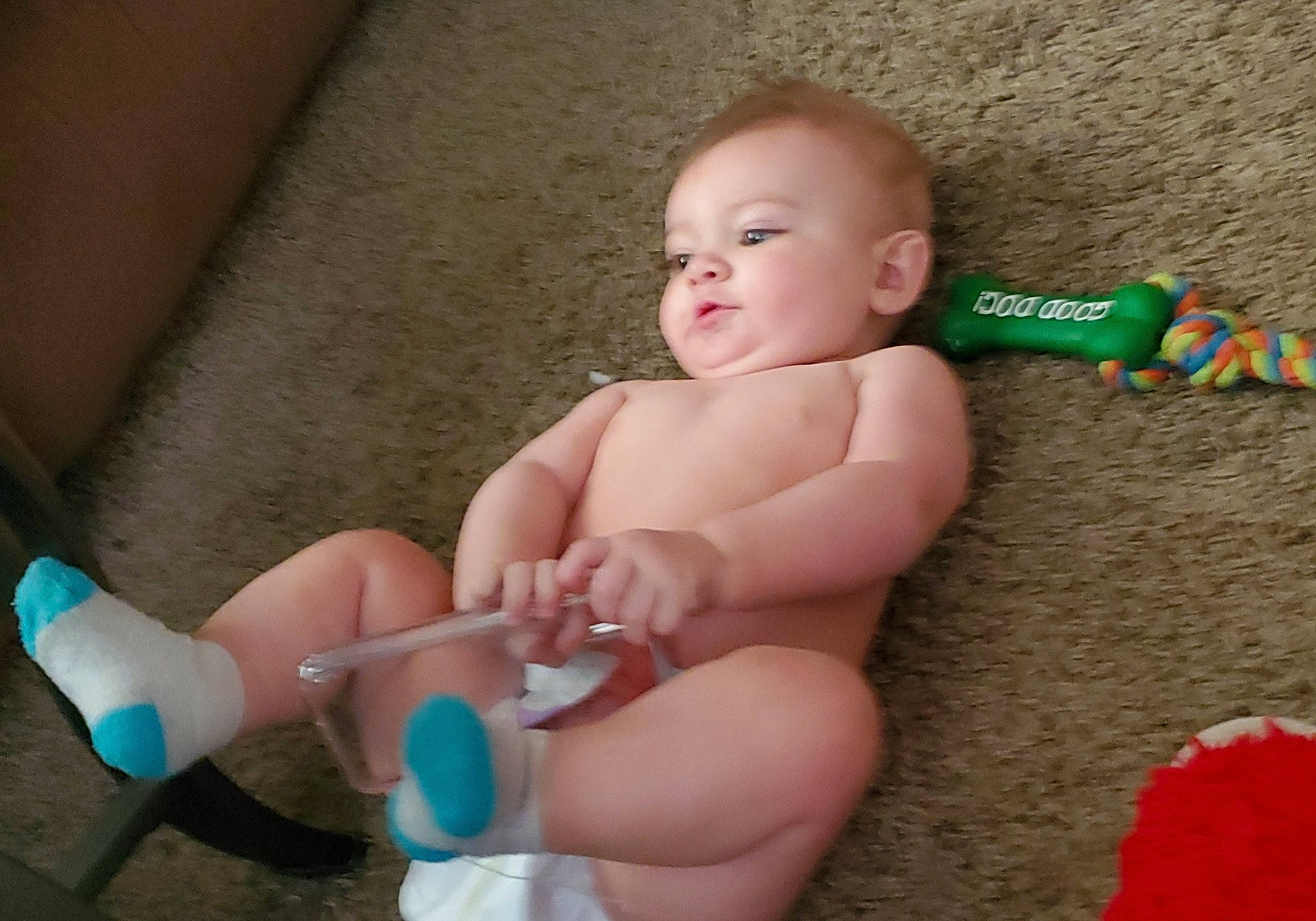 Zarek joined the competition — help win amazing prizes! baby, child, diaper, finger, headwear, leg, nail, person, play, product, skin, thumb, toddler, toe