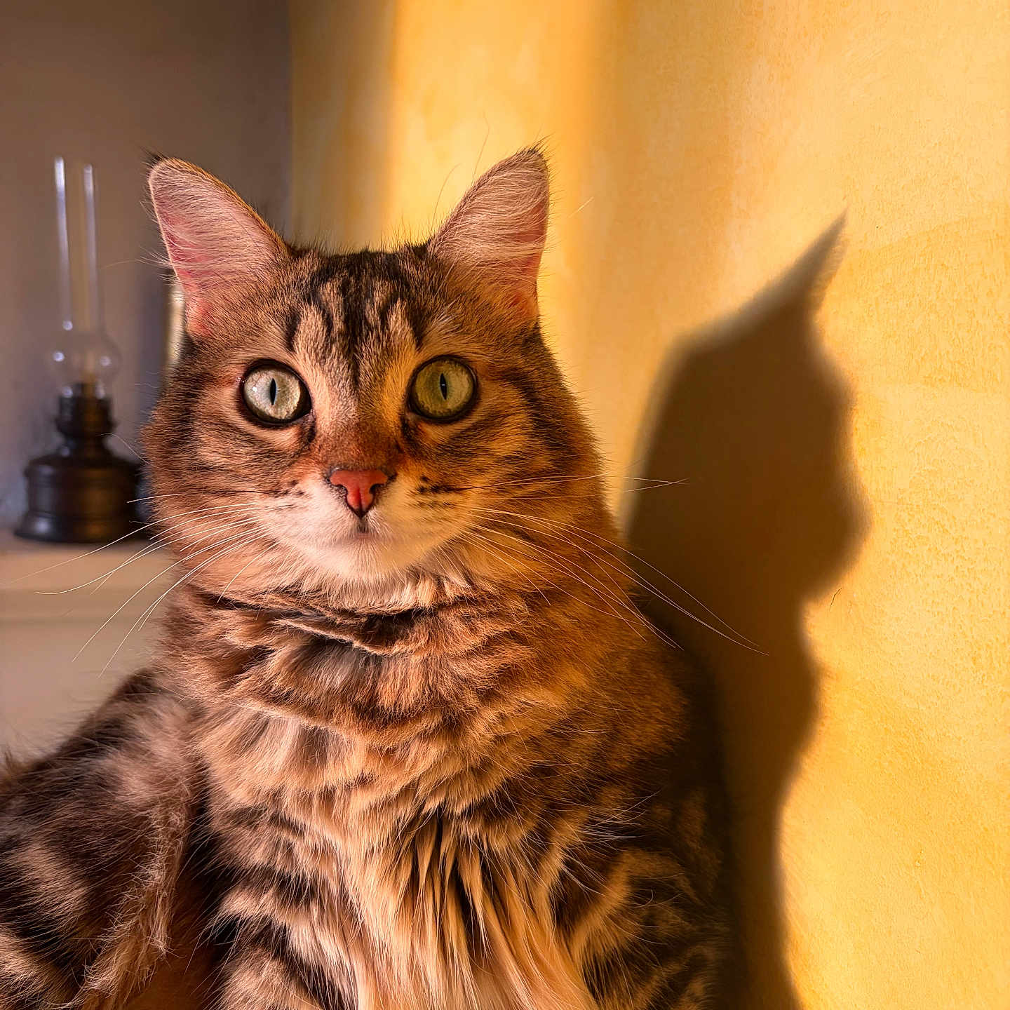 Xena