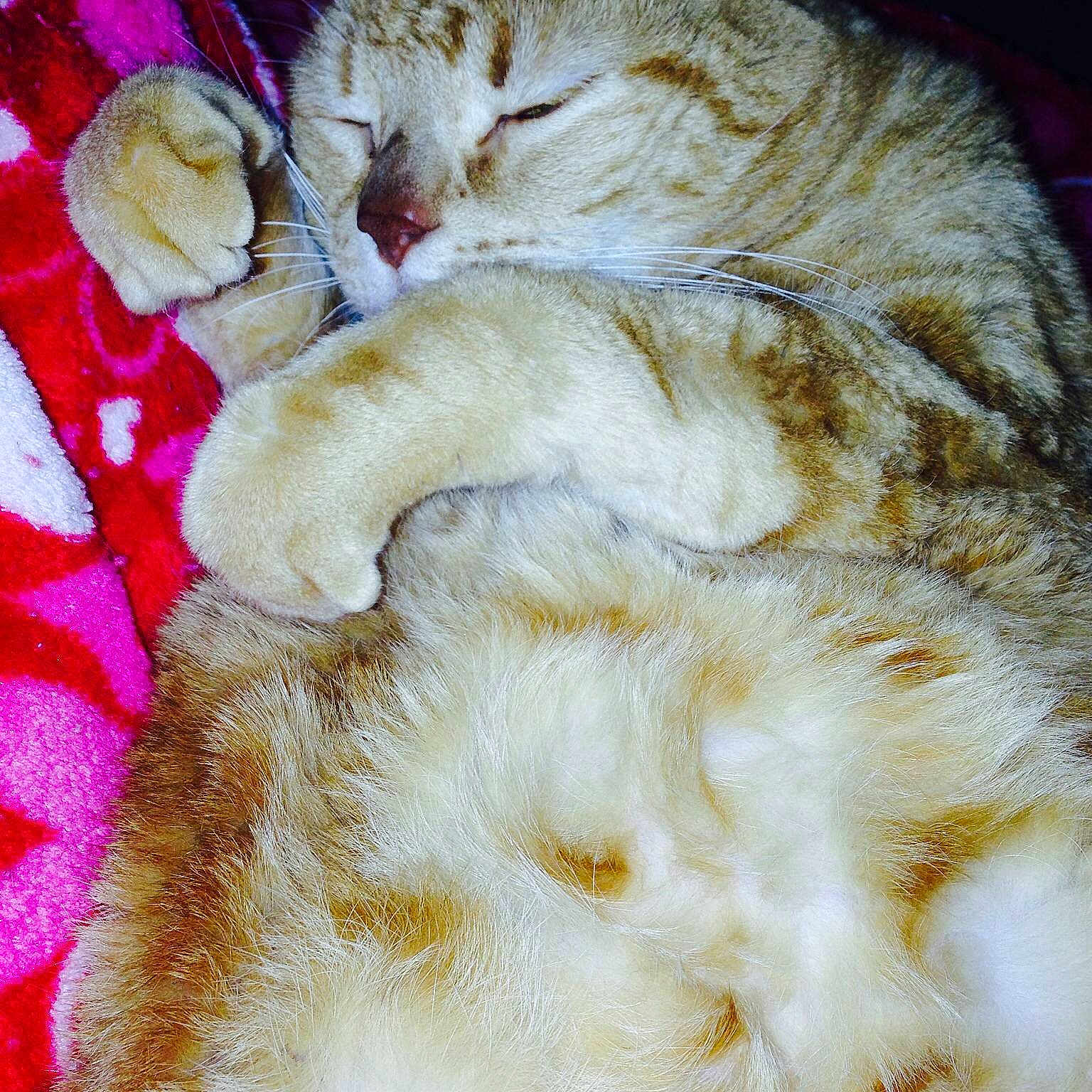Tanner is registered to the contest to win money with this photo: