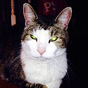 Tabitha joined the competition — help win amazing prizes!