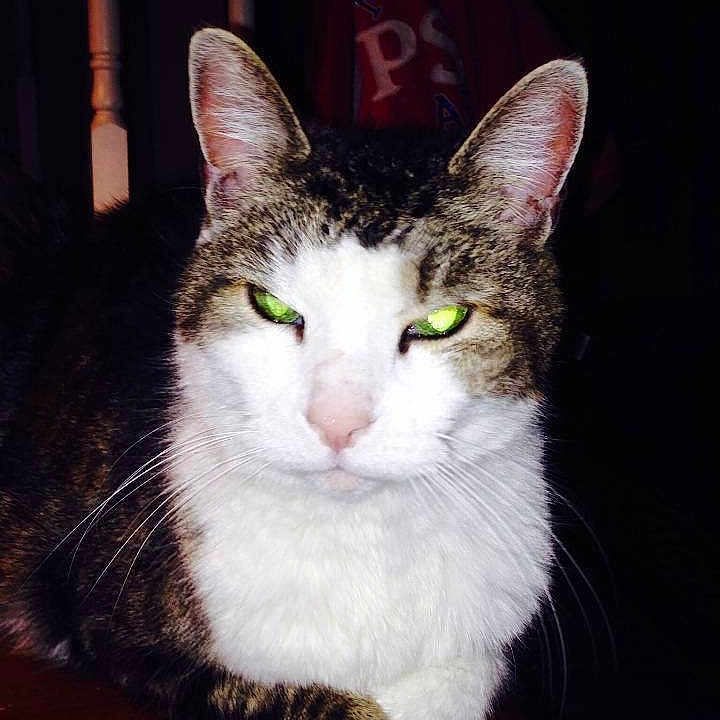 Tabitha