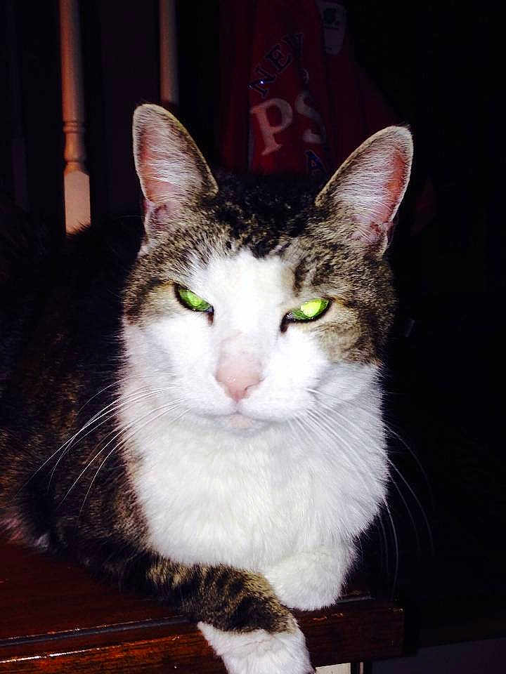 Tabitha
