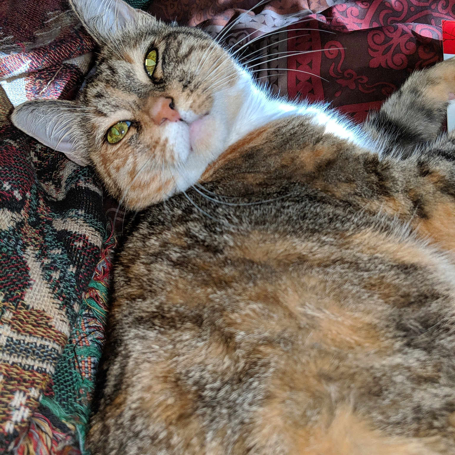 Cassyroll