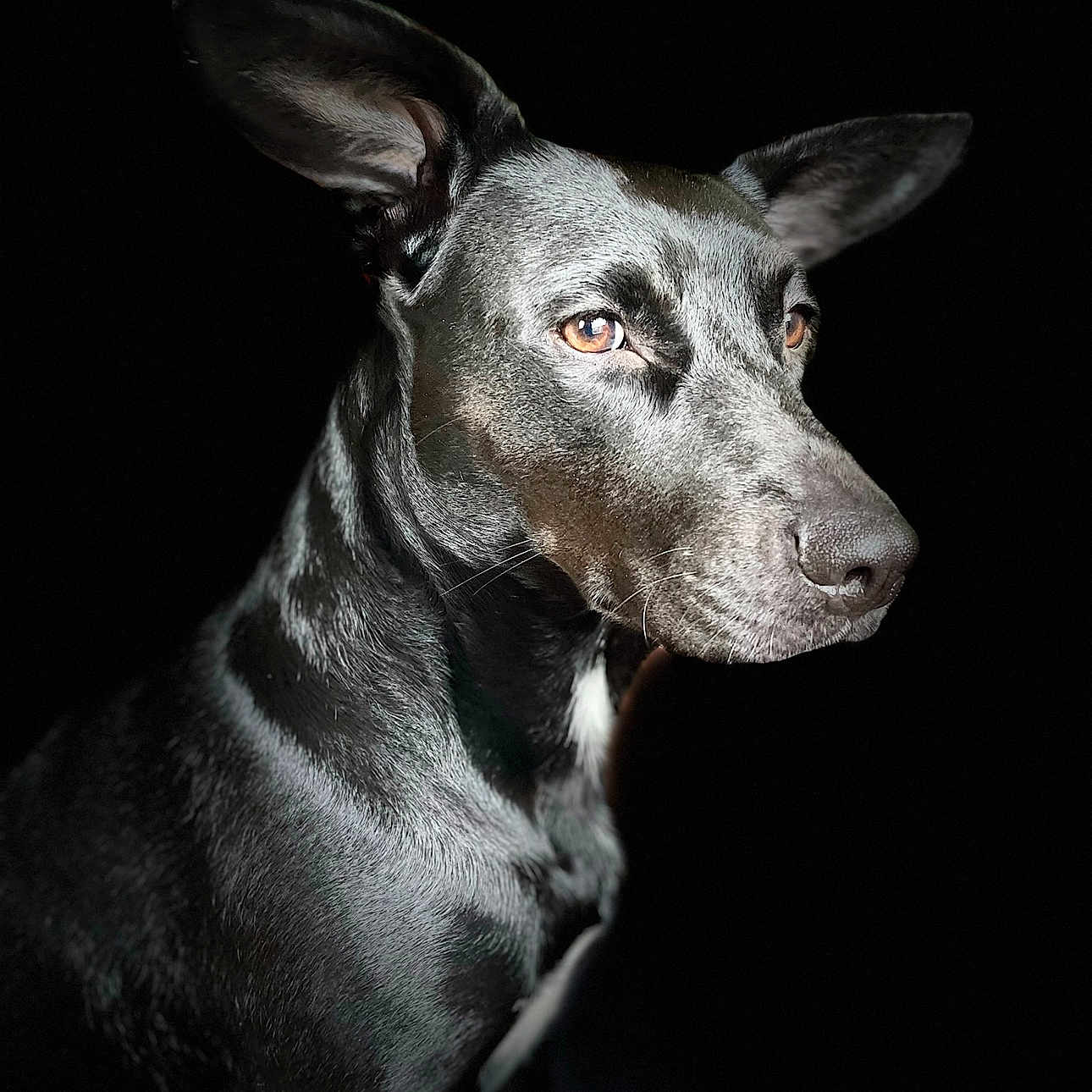 Hana