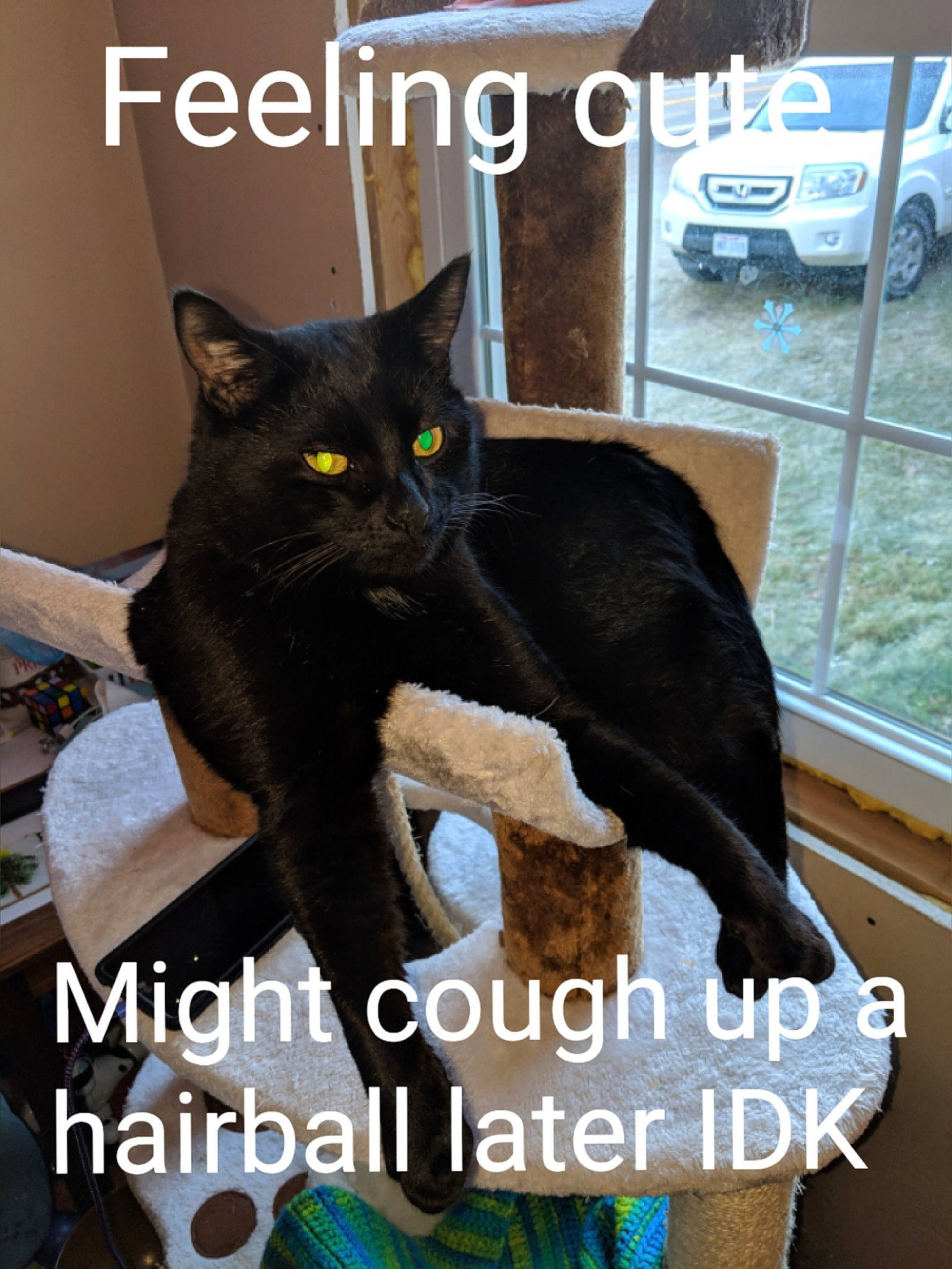 Binx