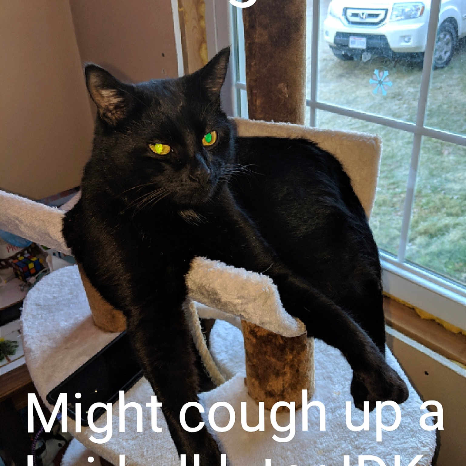 Binx
