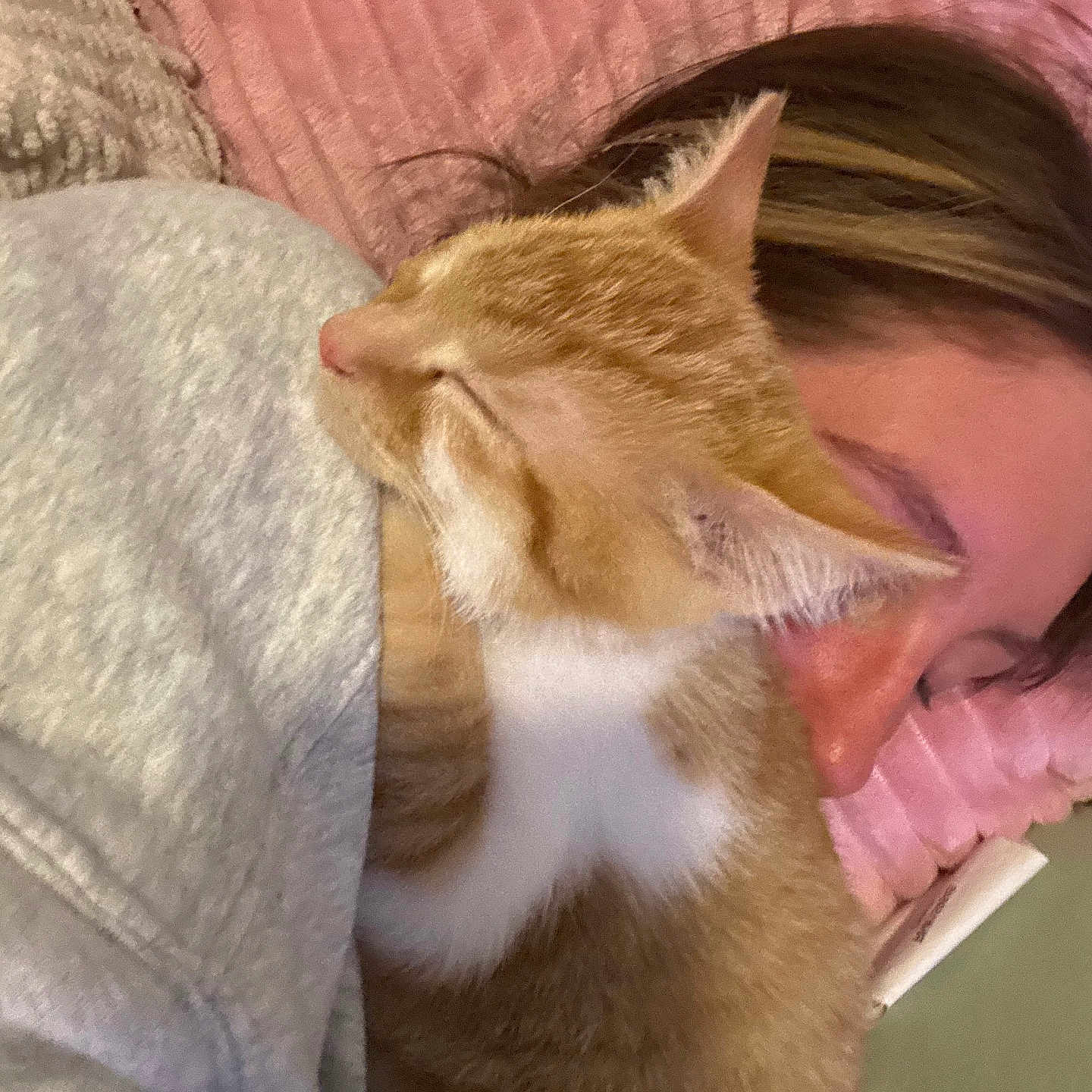 Cheeto