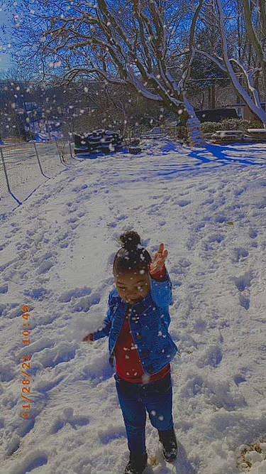 Amour joined the competition — help win amazing prizes! blue, branch, electric_blue, freezing, fun, geological_phenomenon, leaf, leisure, mammal, morning, people_in_nature, person, precipitation, recreation, sky, slope, snow, tree, winter, woody_plant