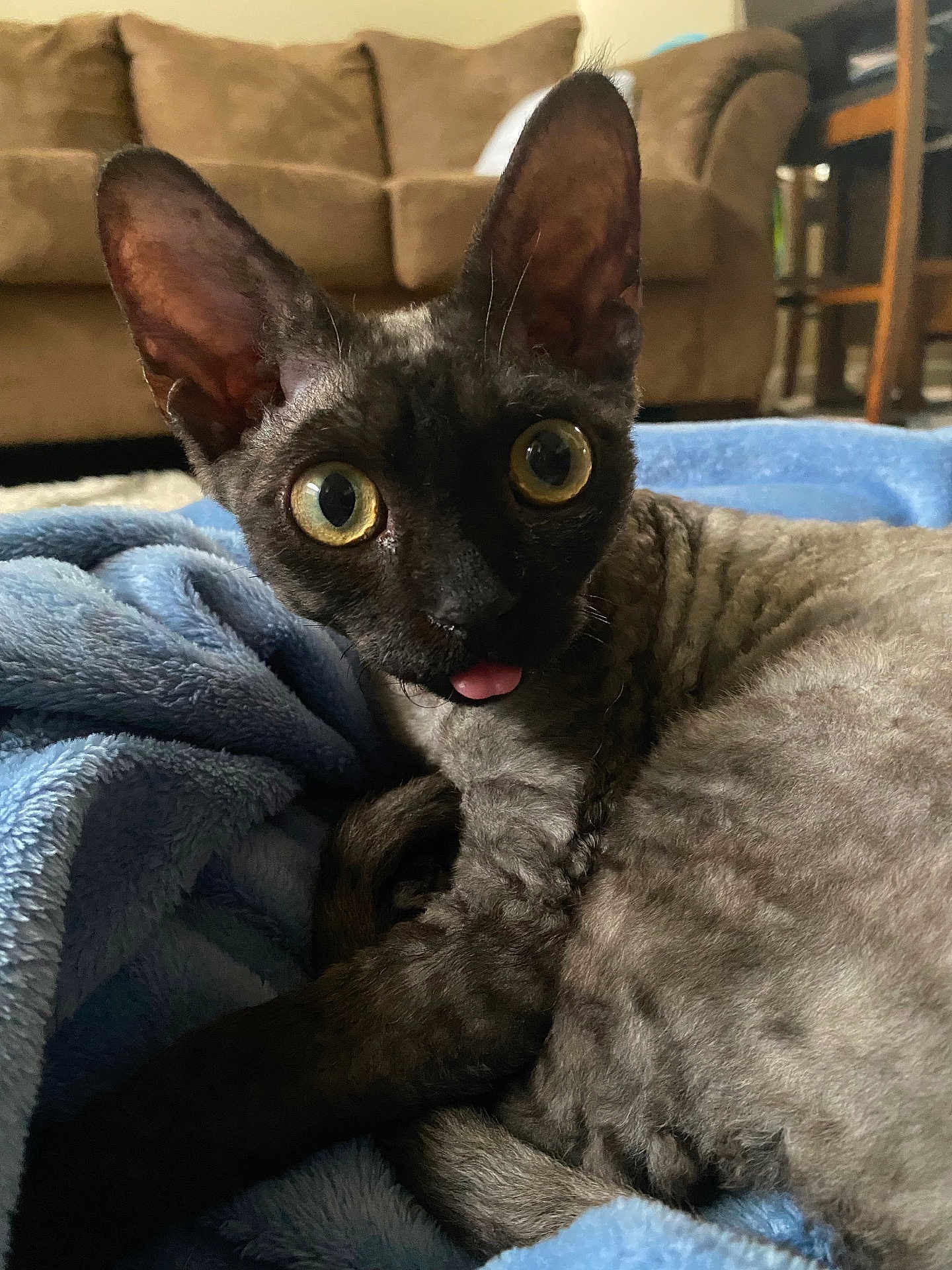 Mimi