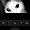 cat, animal, face, pet, security_camera, black_and_white, closeup, app_interface, screen, technology, monitoring, night_vision, eyes, ears, curious, indoor, digital, snapshot, zoom, surveillance