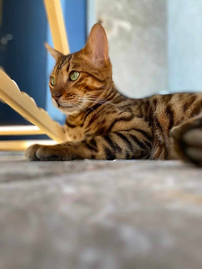 Rio