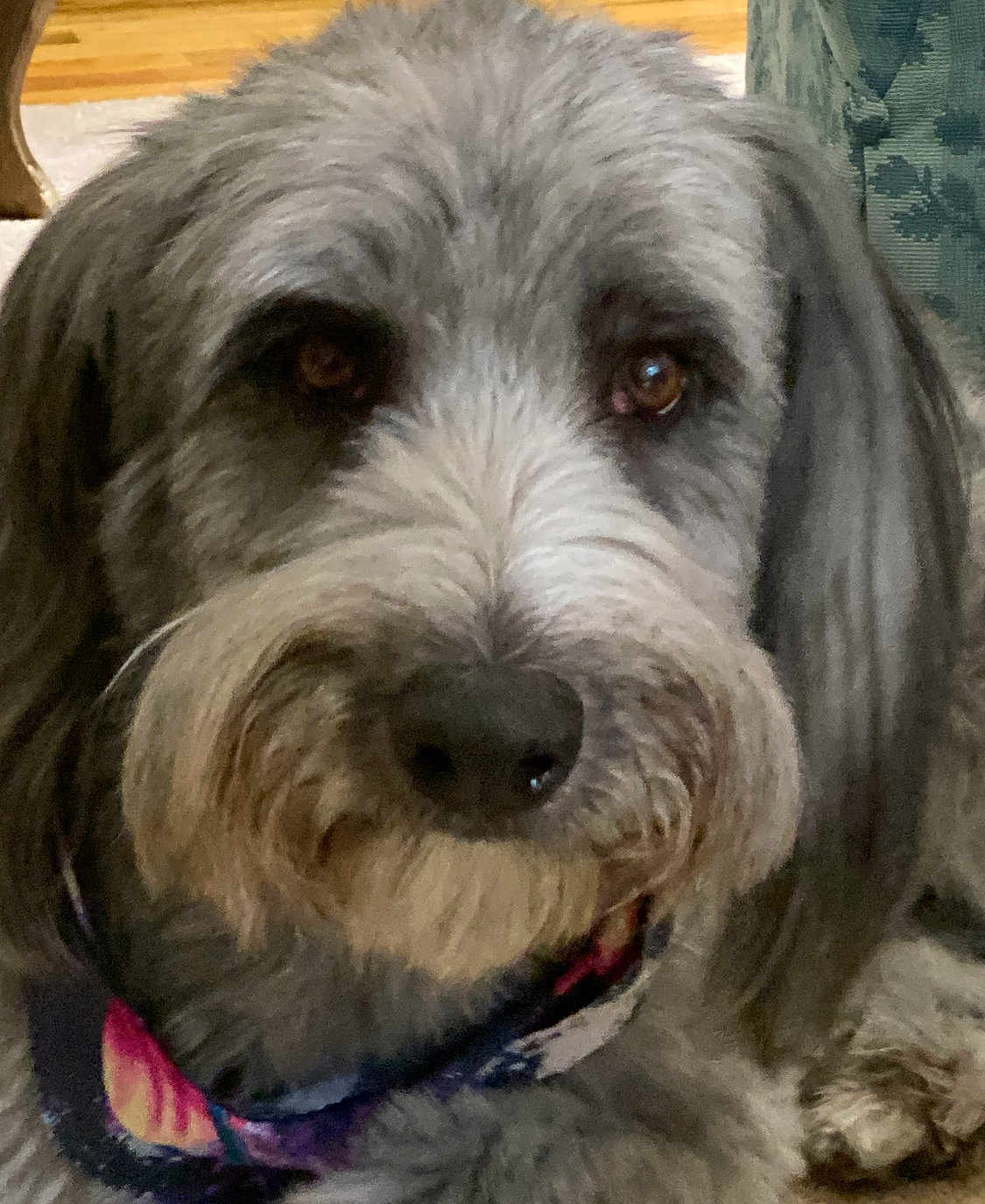Winnie