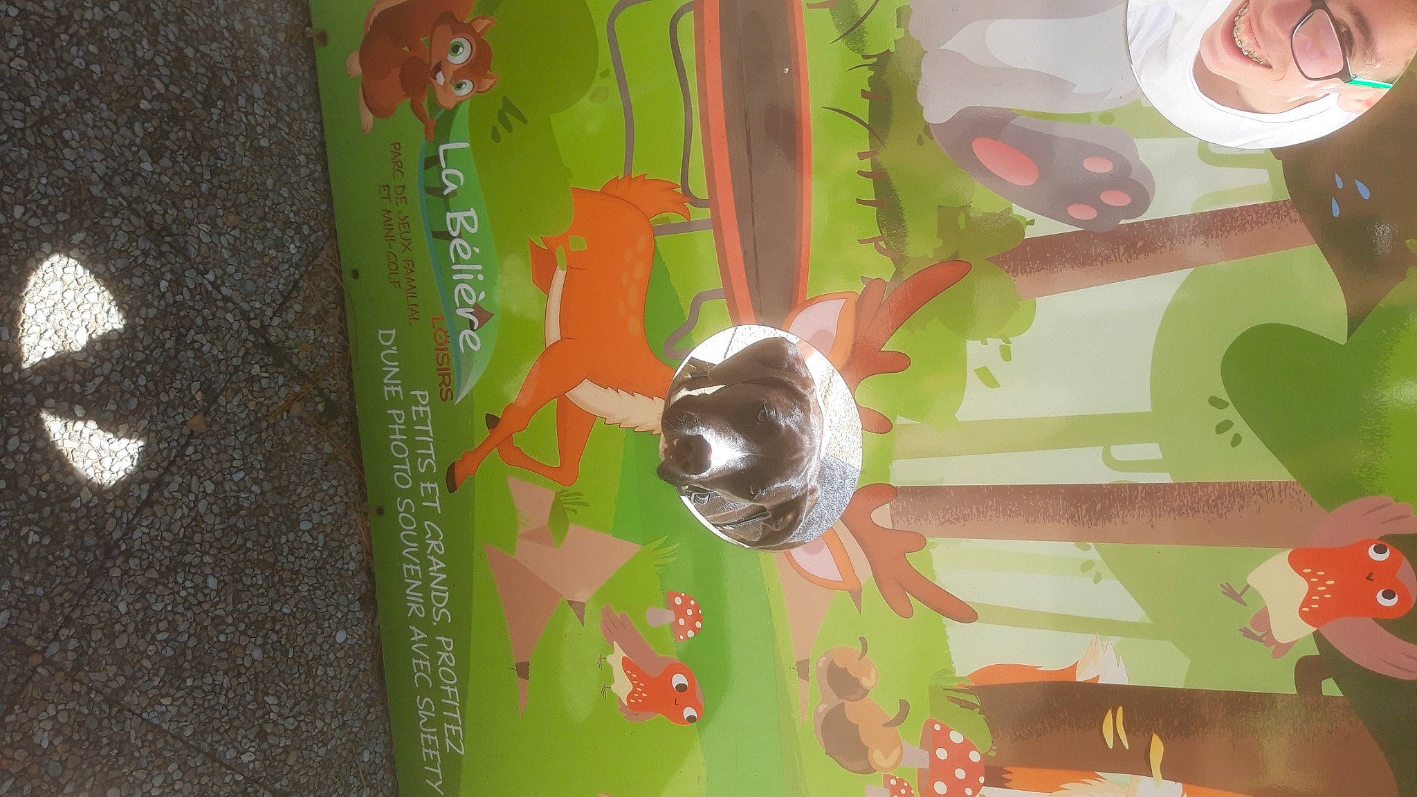 Taïga a rejoint le concours — aidez-le/la à gagner de superbes lots ! art, brown, circle, dead_bolt, hardwood, illustration, magenta, organism, paint, painting, pattern, plant, room, stairs, visual_arts, window, wood, wood_stain