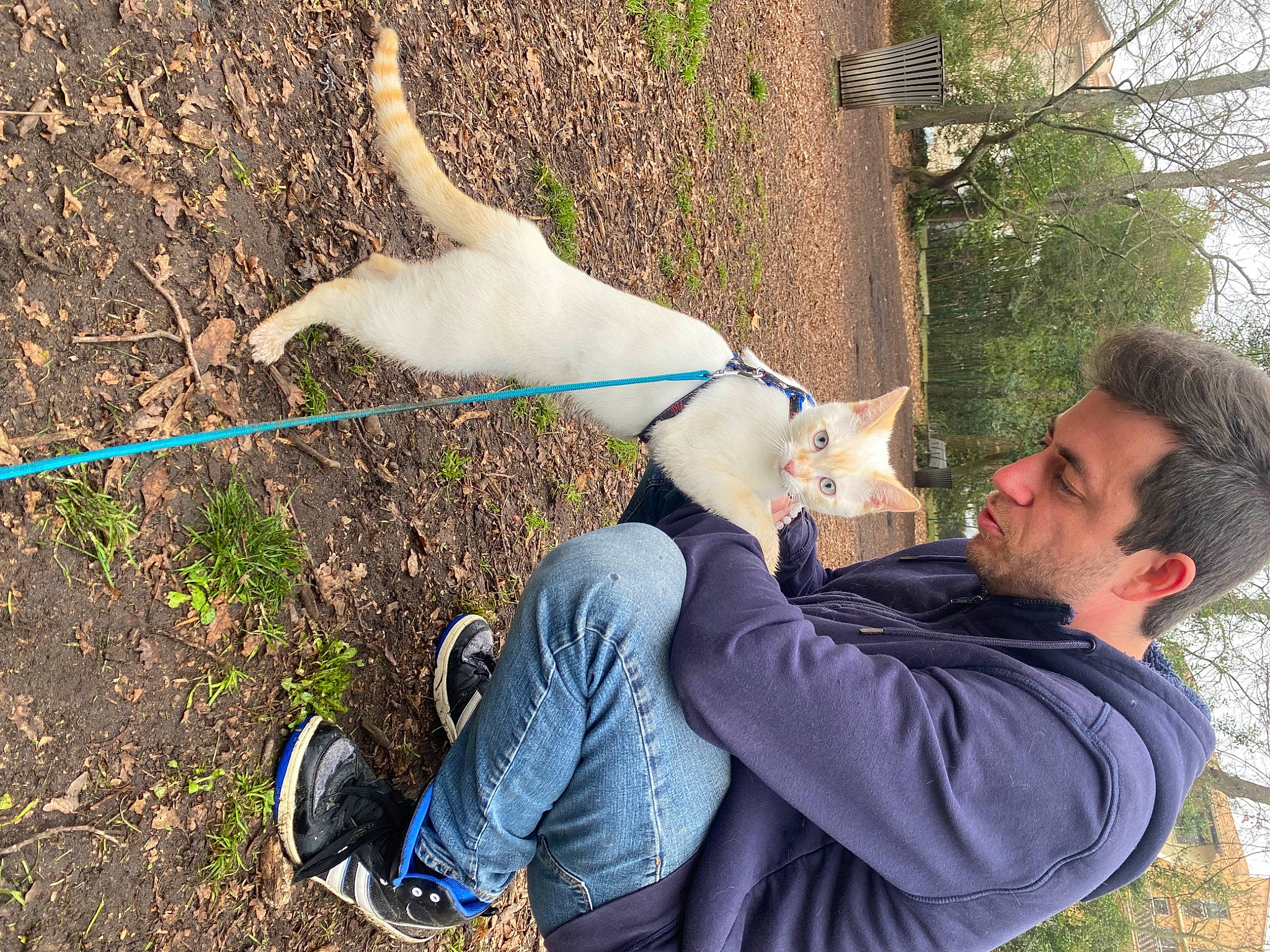 Flocon a rejoint le concours — aidez-le/la à gagner de superbes lots ! canidae, carnivore, clothing, collar, companion_dog, dog, dog_breed, fawn, grass, happy, leash, leg, leisure, people_in_nature, plant, sporting_group, tail, tree, trunk, working_animal