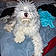 Baxter