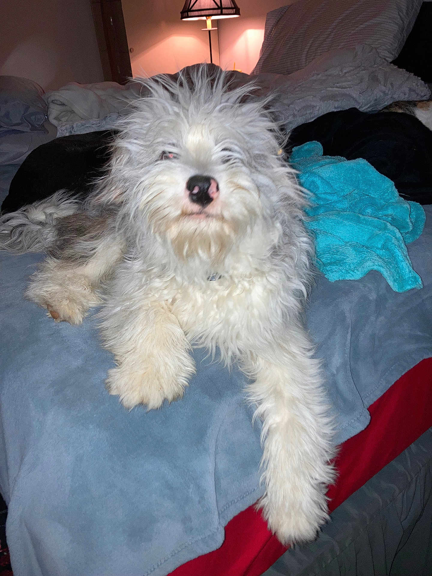 Baxter