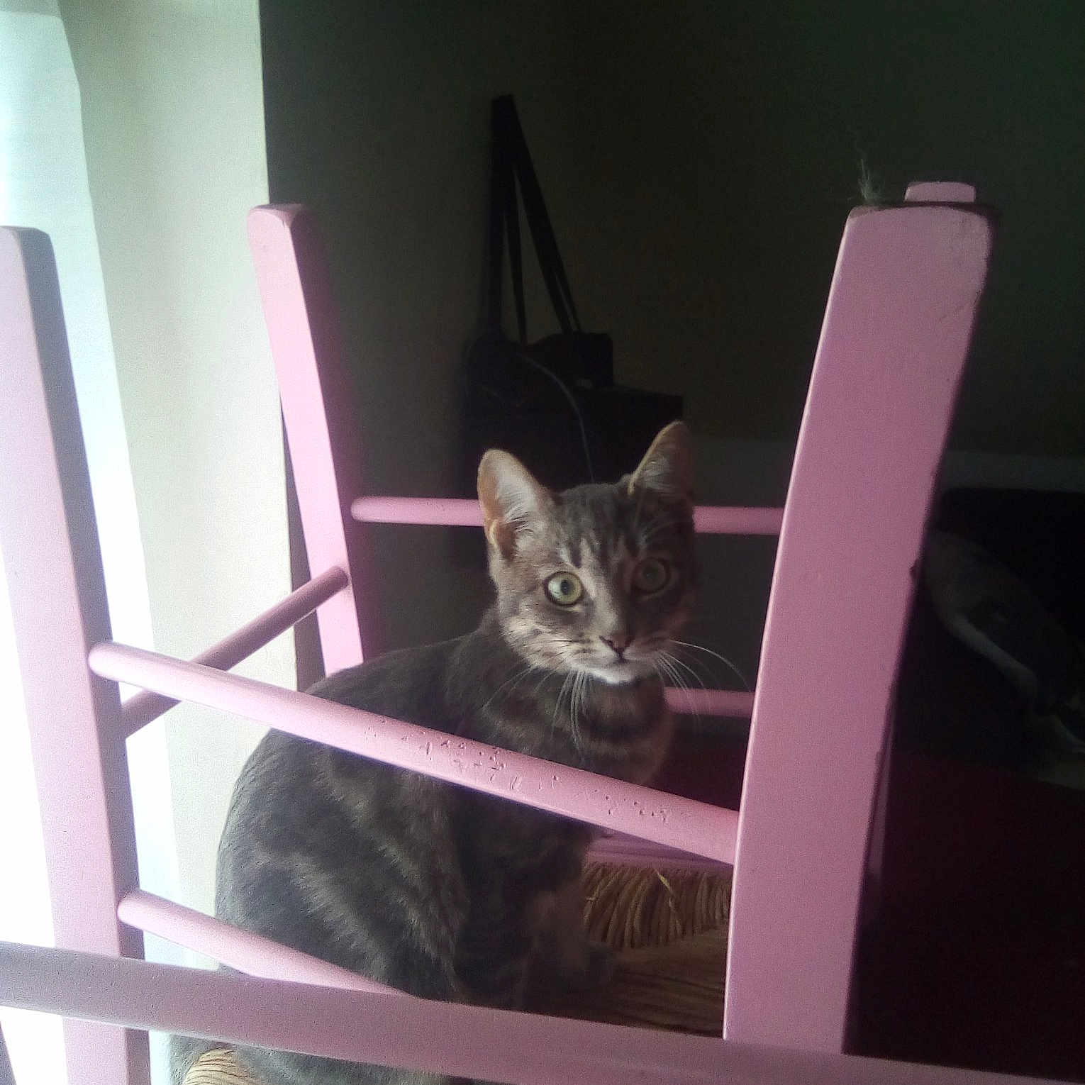 Pickatchette