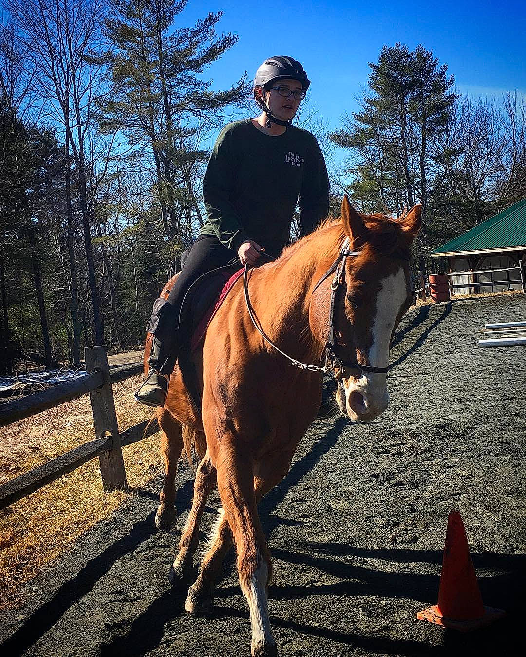 Hercules joined the competition — help win amazing prizes! animal_sports, bridle, cool, equestrian_sport, equestrianism, halter, horse, horse_supplies, horse_tack, mammal, mare, outdoor_recreation, pack_animal, person, recreation, rein, saddle, sky, trail_riding, tree