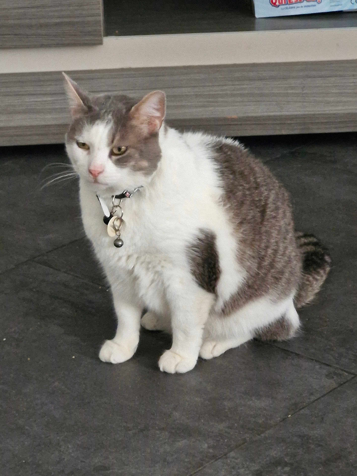 Minou