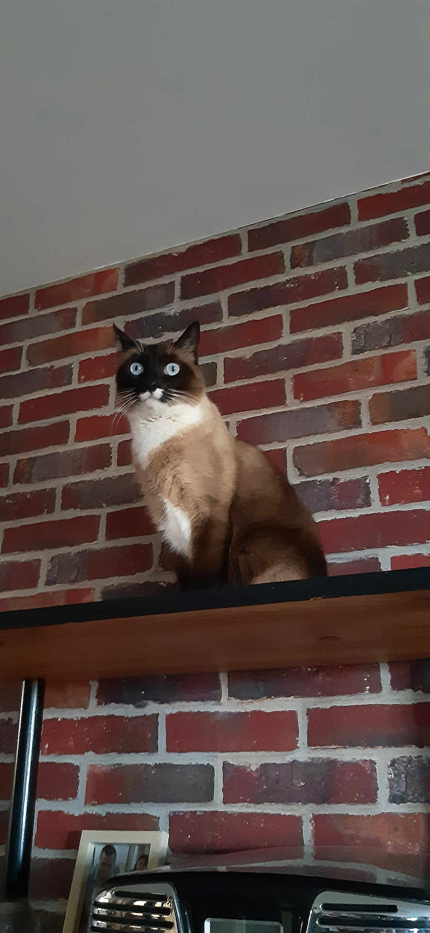 Rajah