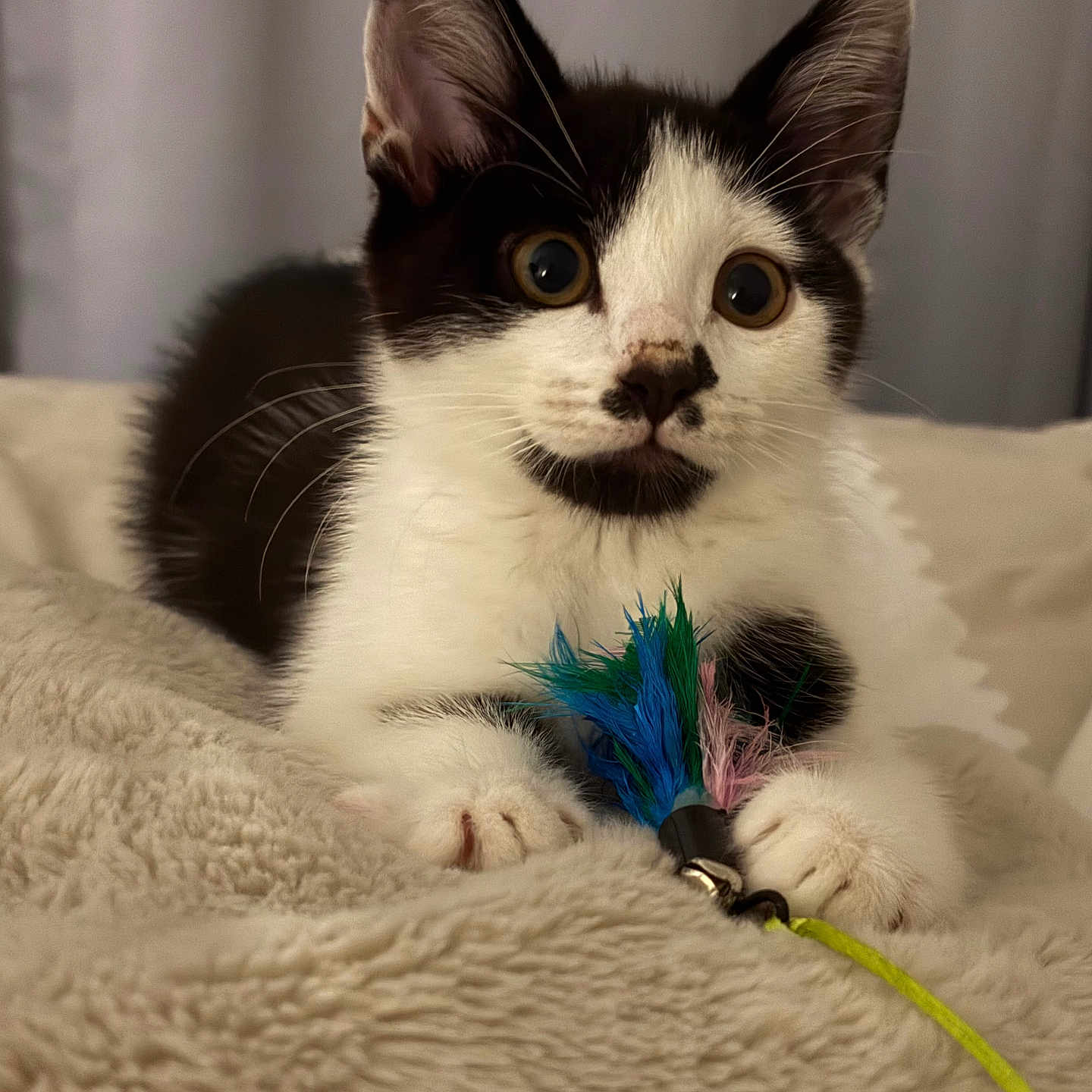Charlie