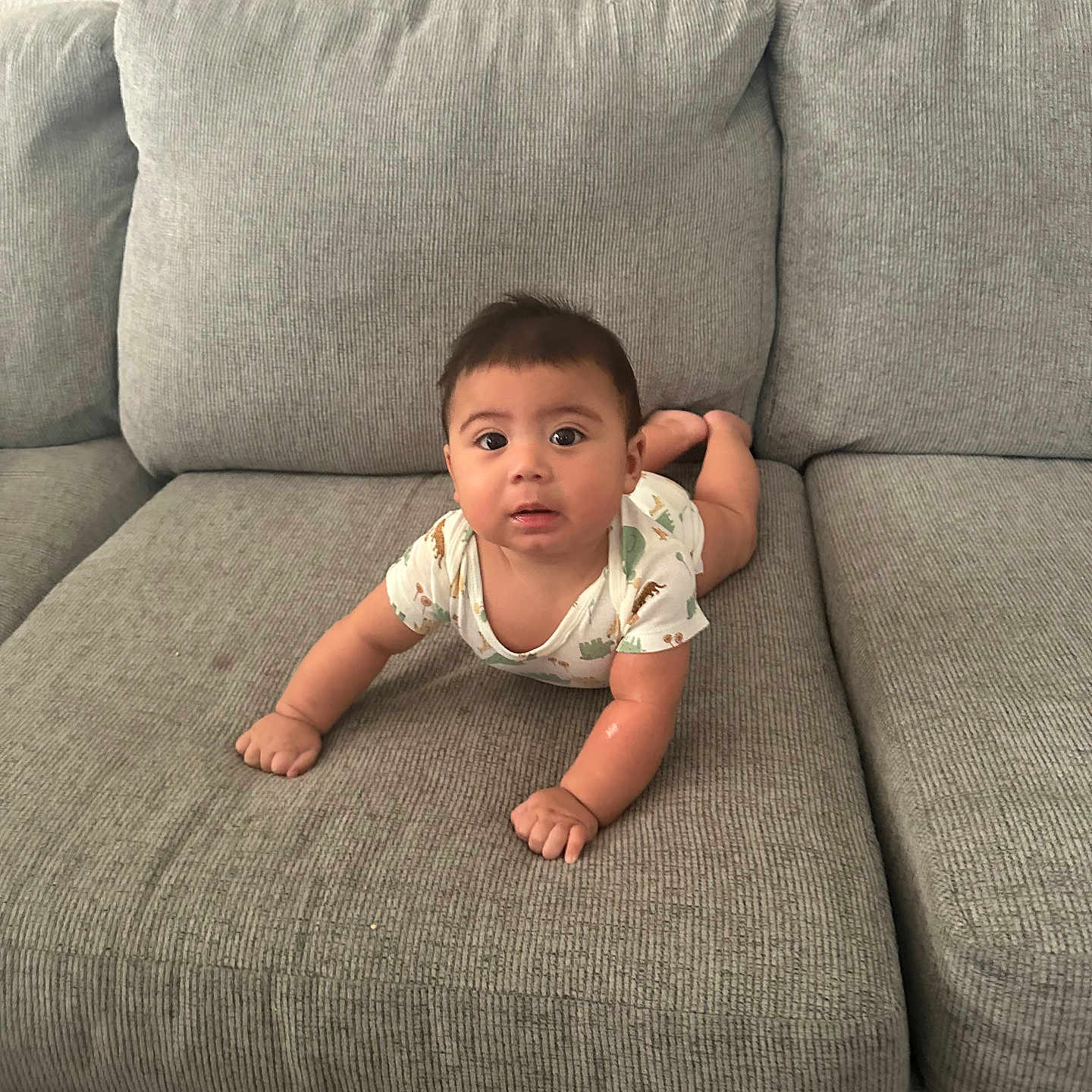 Asher is registered to the contest to win money with this photo: baby, child, couch, curious, cushion, cute, dinosaur_print, furniture, gray_couch, home, indoors, infant, looking, onesie, person, seated, soft, tummy, wide_eyes, young