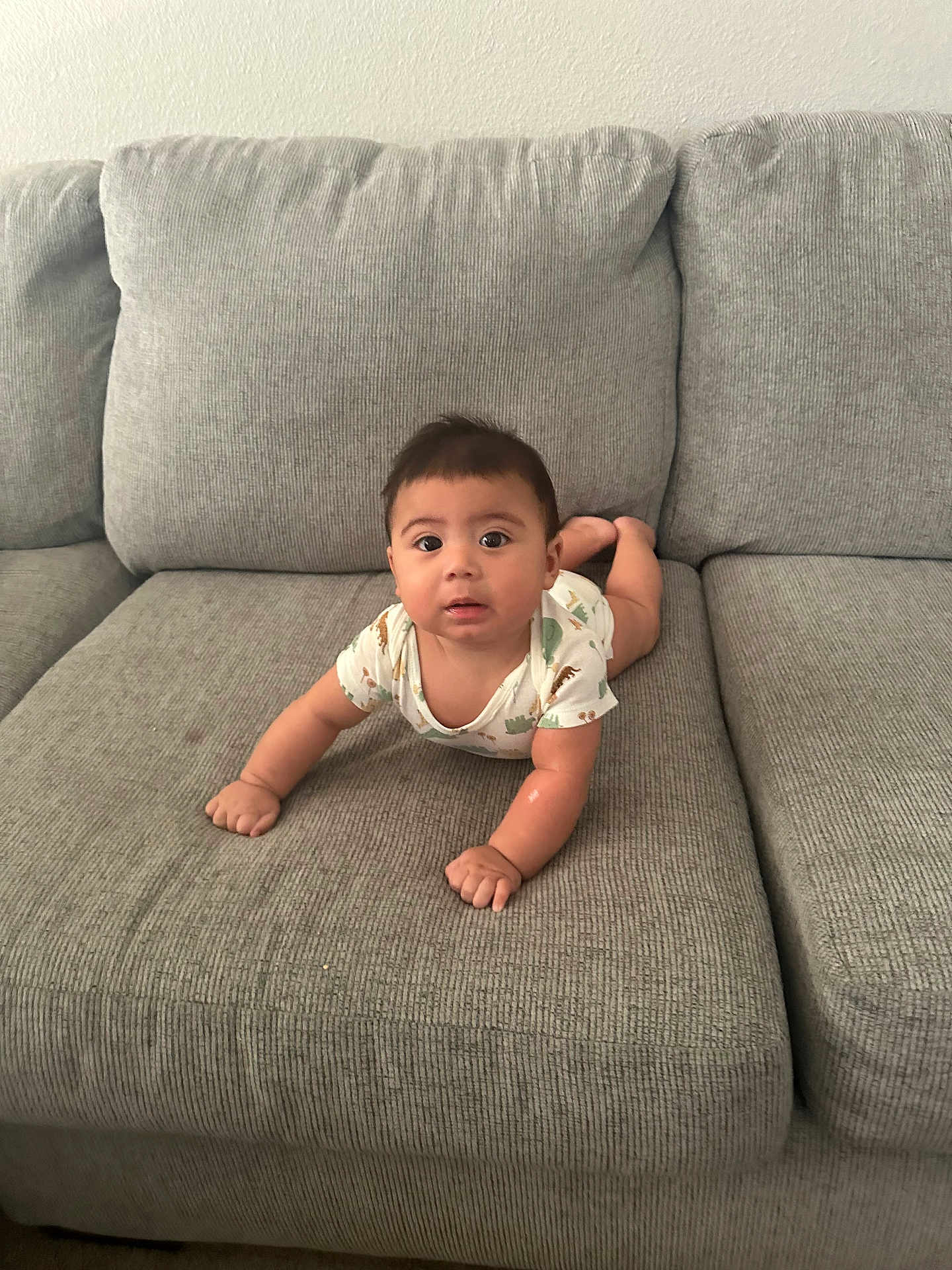 Asher is registered to the contest to win money with this photo: baby, child, onesie, dinosaur_print, couch, gray_couch, tummy, curious, indoors, furniture, cushion, infant, person, wide_eyes, cute, home, soft, seated, looking, young