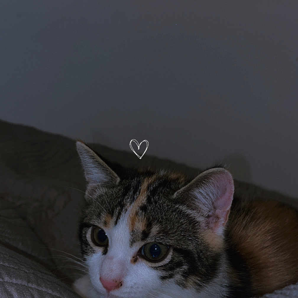 Esra