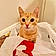 Charlie