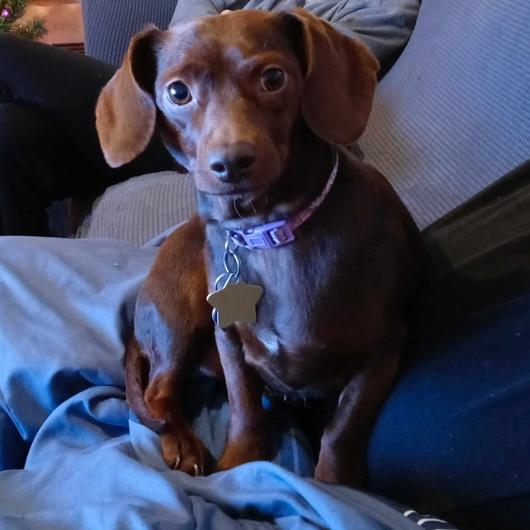 Coco