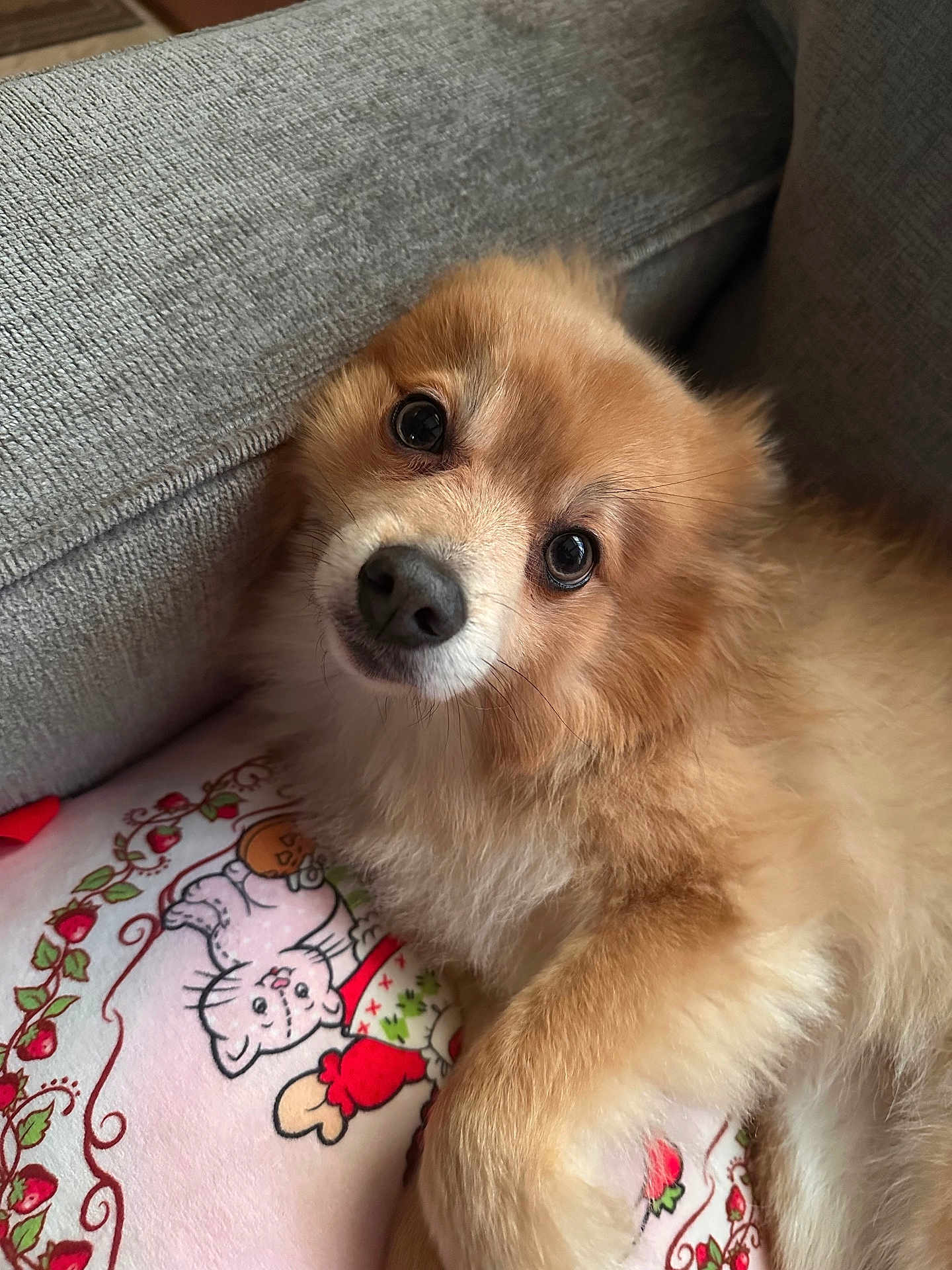 Coco