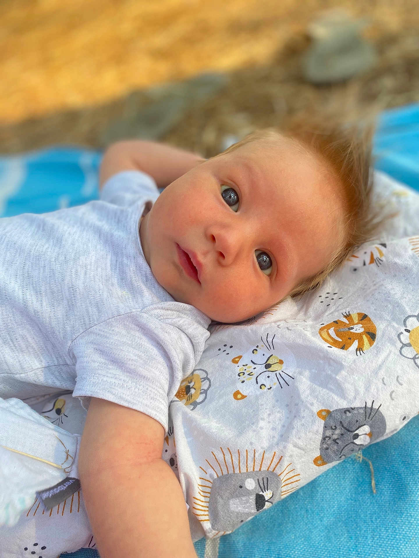 Lino participe au concours pour gagner de l'argent avec cette photo : baby, infant, face, blue_eyes, blanket, animal_print, cute, child, outdoor, soft_light, portrait, skin, clothing, lying_down, young, expression, head, looking, toddler, peaceful