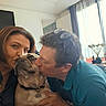 indoor, woman, man, dog, bulldog, kissing, affection, love, pet, face, glasses, window, curtain, furniture, vase, home, casual_clothing, people, expression, portrait