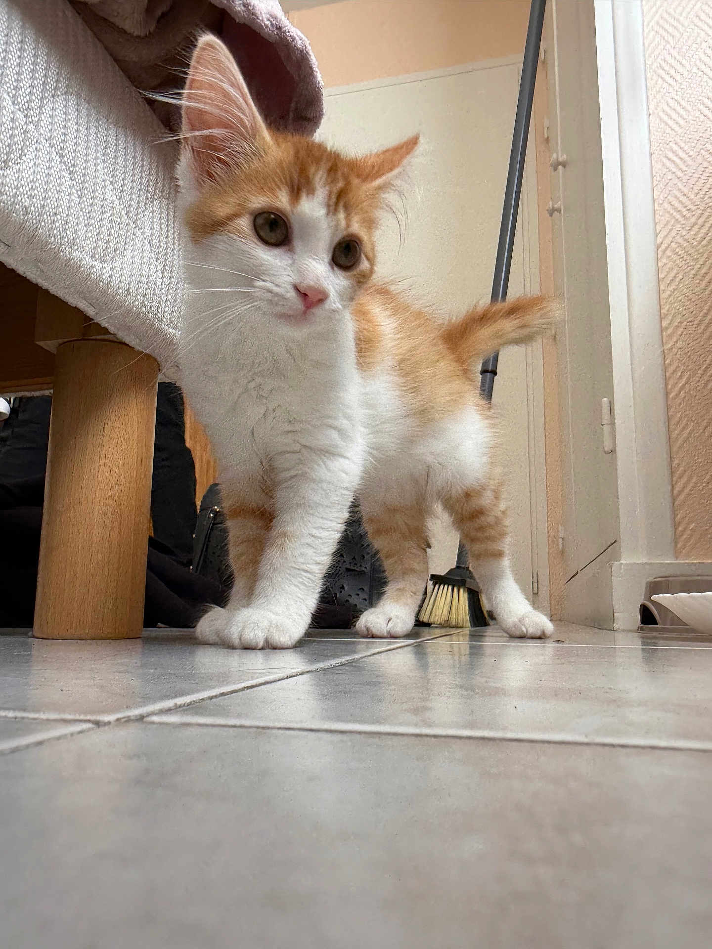Nala
