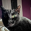 Sophie M. D.
