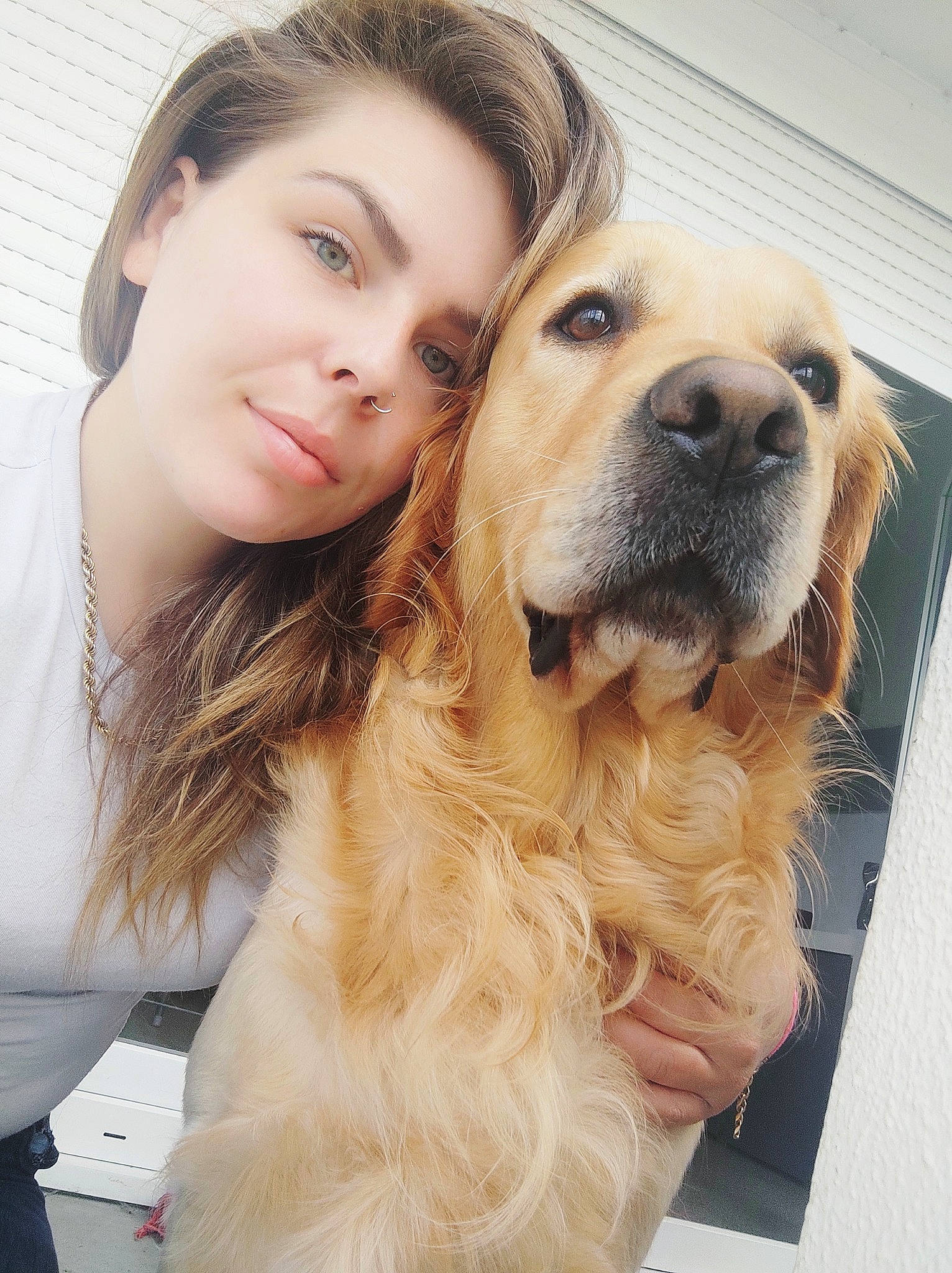 Zaïko a rejoint le concours — aidez-le/la à gagner de superbes lots ! beauty, blond, canidae, carnivore, companion_dog, dog, dog_breed, eye, eyelash, fawn, fur, happy, liver, puppy_love, selfie, snout, sporting_group, travel, whiskers, working_animal