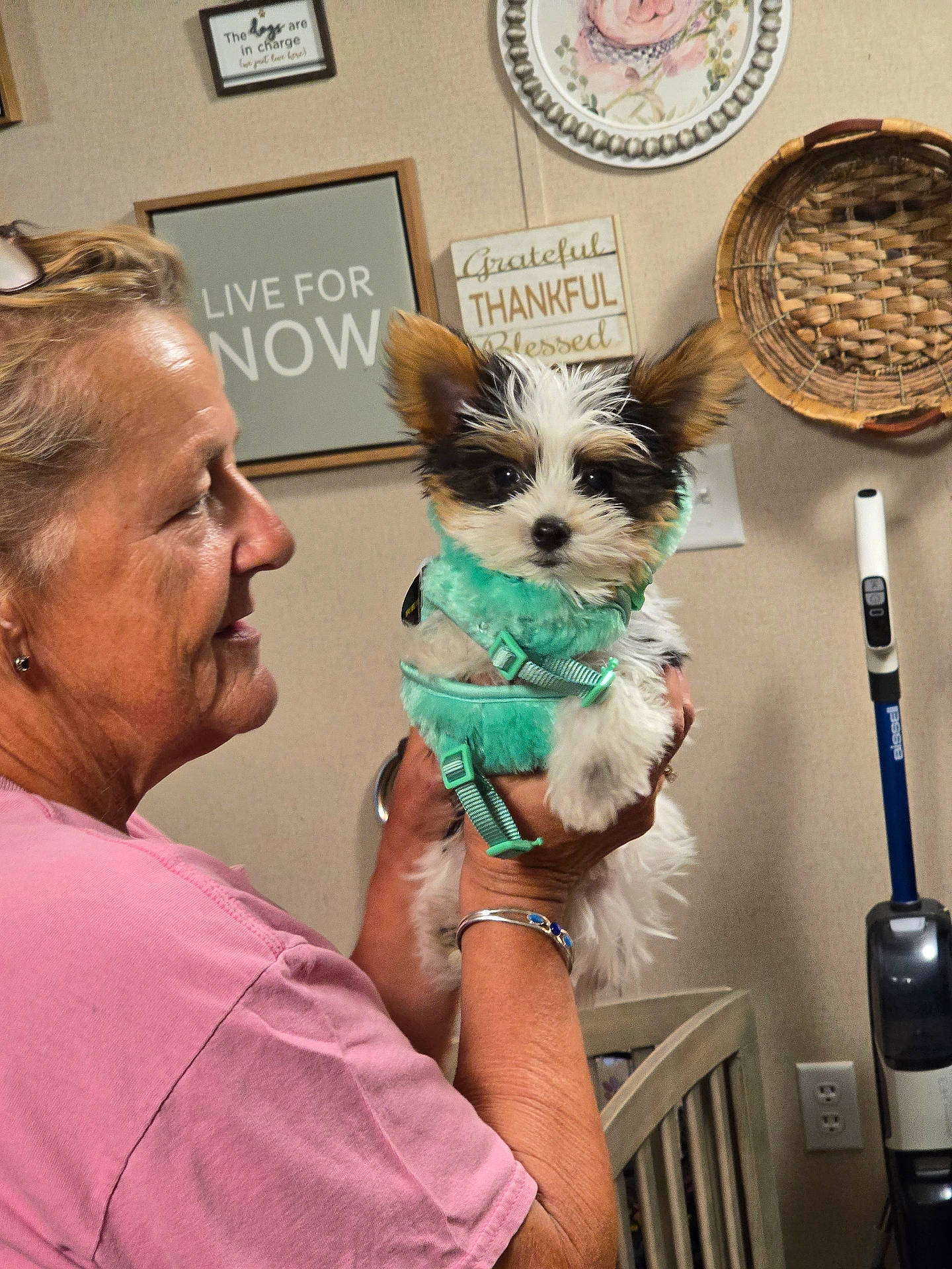 accessories, adult, animal, canine, dog, earring, face, female, furniture, glasses, head, indoors, jewelry, person, pet, photography, plate, portrait, puppy, woman