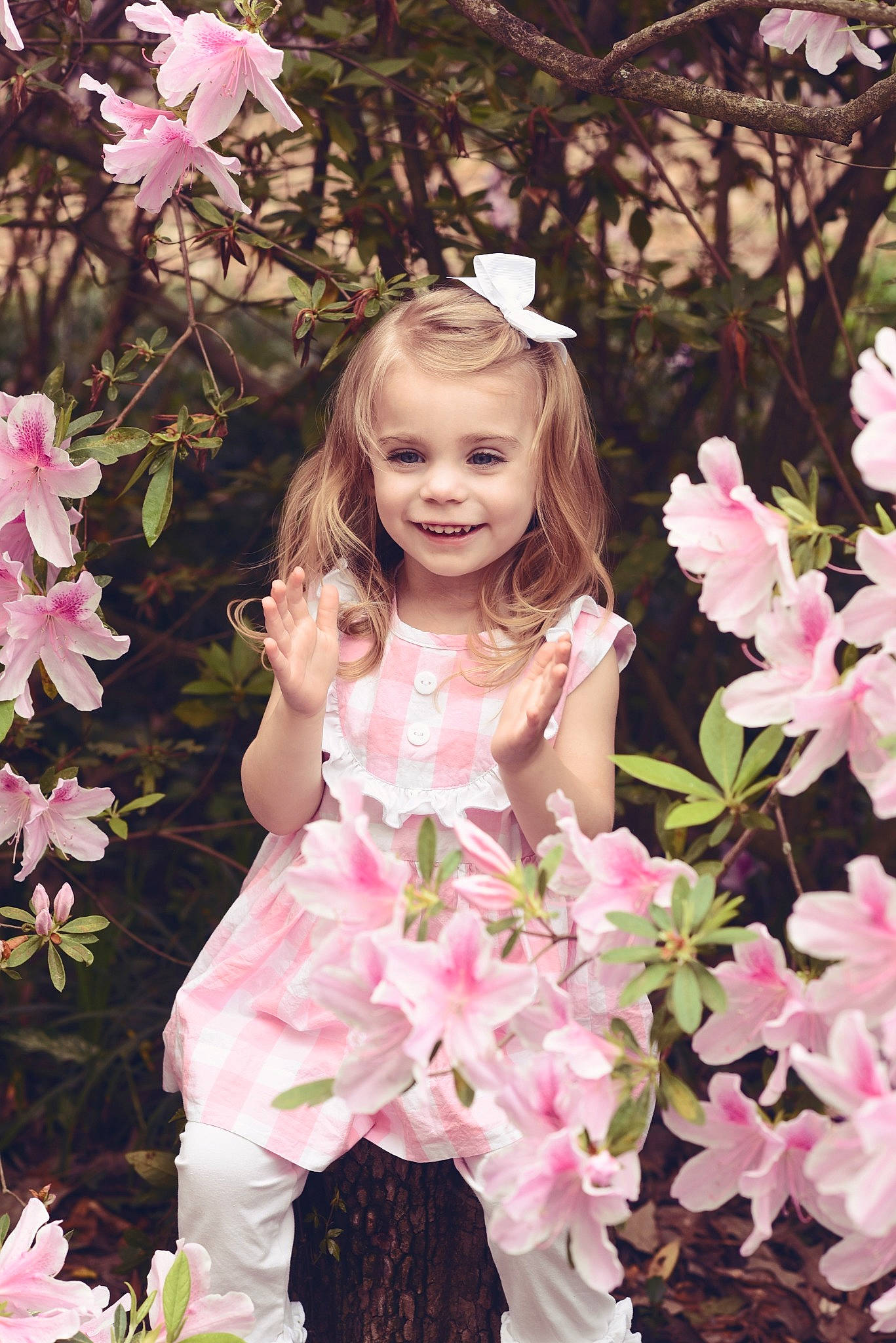 Abbigale Lynn joined the competition — help win amazing prizes! azalea, blossom, child, child_model, costume, dress, flower, joy, person, petal, photography, pink, plant, rhododendron, smile, spring, toddler