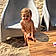Alessio