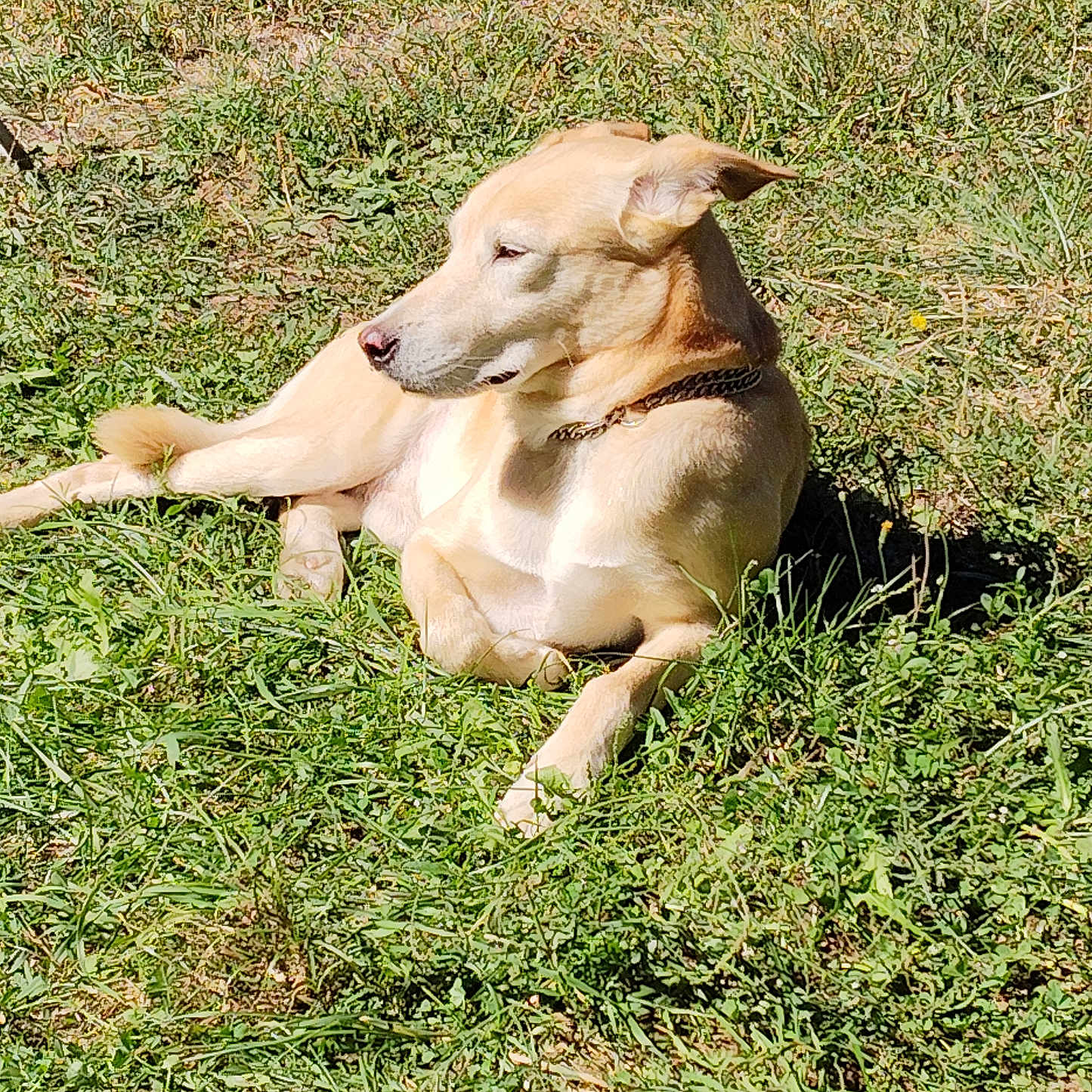 Zeus