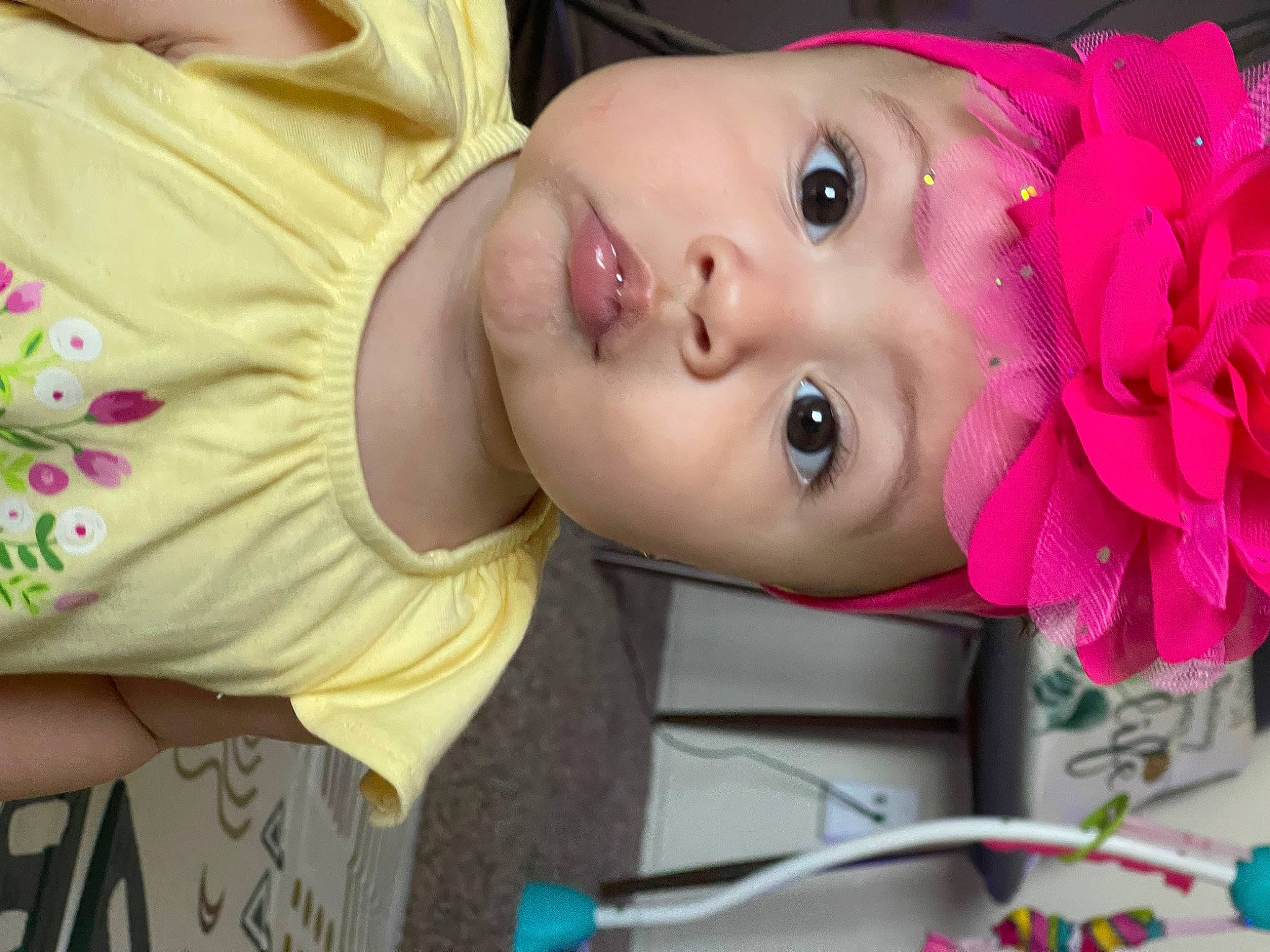 Daniella joined the competition — help win amazing prizes! baby_toddler_clothing, cheek, child, eye, eyelash, face, flower, fun, happy, head, headwear, lip, mouth, nose, person, petal, pink, plant, rose, skin
