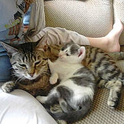 Clochette participe au concours pour gagner de l'argent avec cette photo :