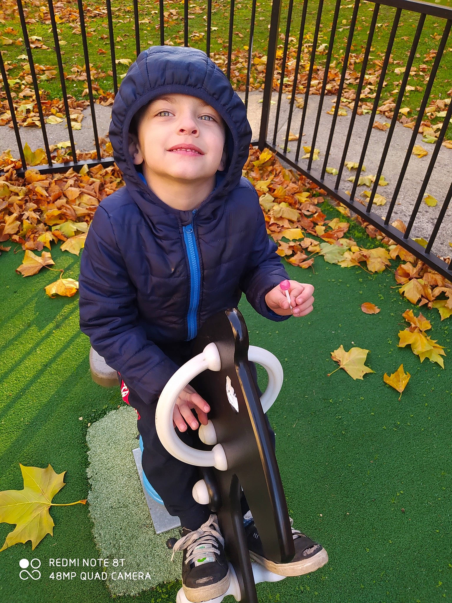 Léo a rejoint le concours — aidez-le/la à gagner de superbes lots ! autumn, baby, baby_products, baby_toddler_clothing, balance, child, deciduous, fence, headwear, hood, hoodie, joy, leaf, nose, person, play, seesaw, skateboard, skateboard_truck, skateboarding_equipment