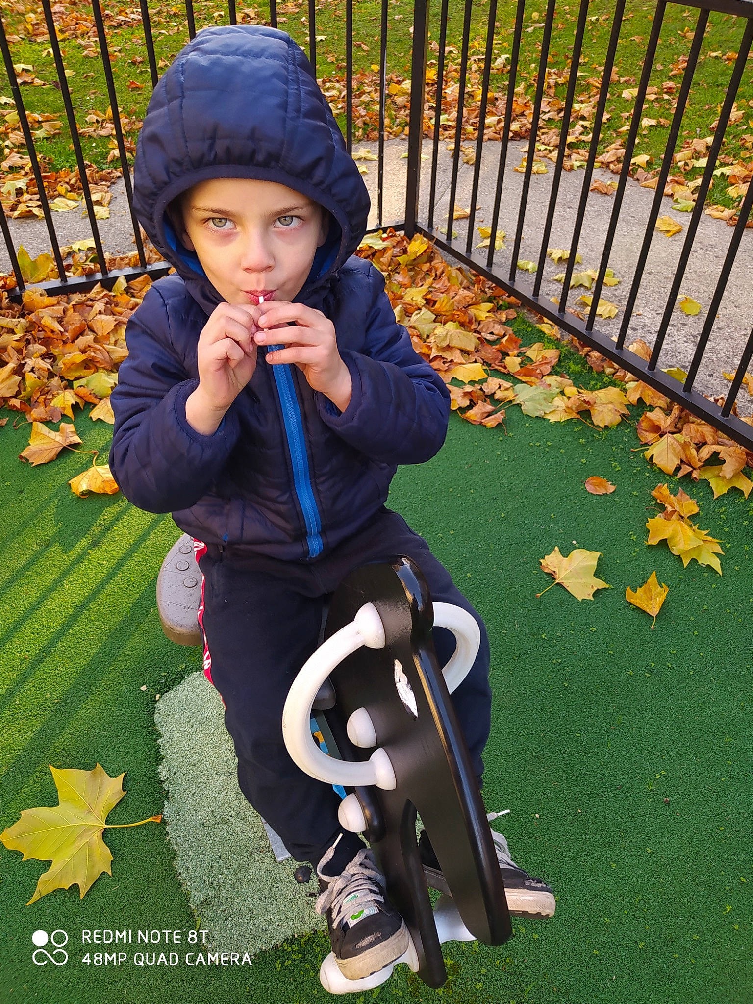 Léo participe au concours pour gagner de l'argent avec cette photo : ankle, autumn, baby, baby_toddler_clothing, deciduous, fence, headwear, hood, hoodie, lap, leaf, nose, outdoor_furniture, people_in_nature, person, play, shoe, sneakers, toddler