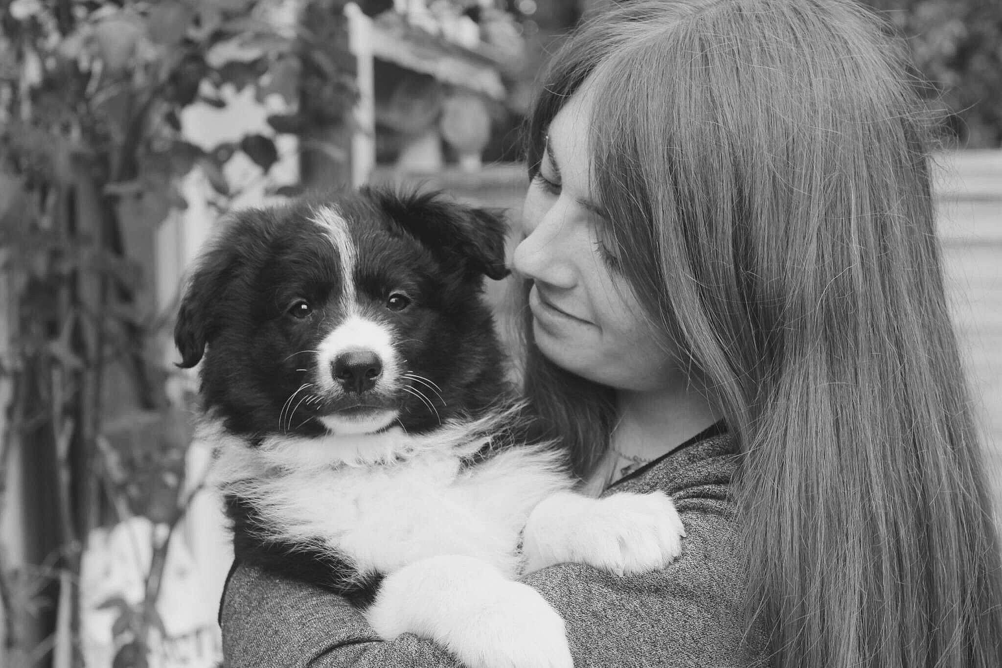 Priam participe au concours pour gagner de l'argent avec cette photo : black_and_white, border_collie, canidae, carnivore, companion_dog, dog, dog_breed, fur, happy, monochrome, monochrome_photography, plant, snout, sporting_group, street, style, working_animal, working_dog