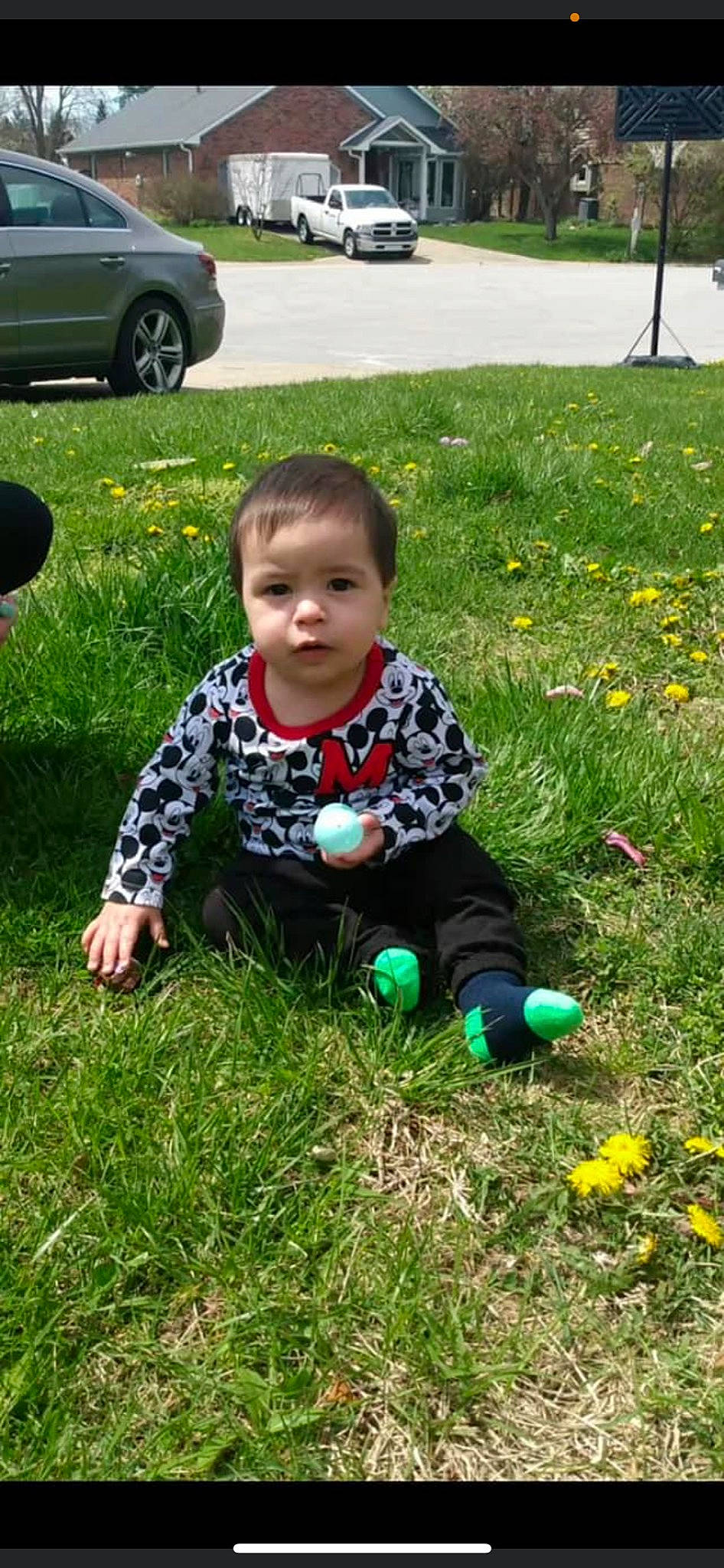 Edwin is registered to the contest to win money with this photo: baby, baby_toddler_clothing, botany, child, flower, fun, grass, grass_family, groundcover, happy, lawn, leaf, leisure, people_in_nature, person, plant, recreation, tire, toddler, wheel