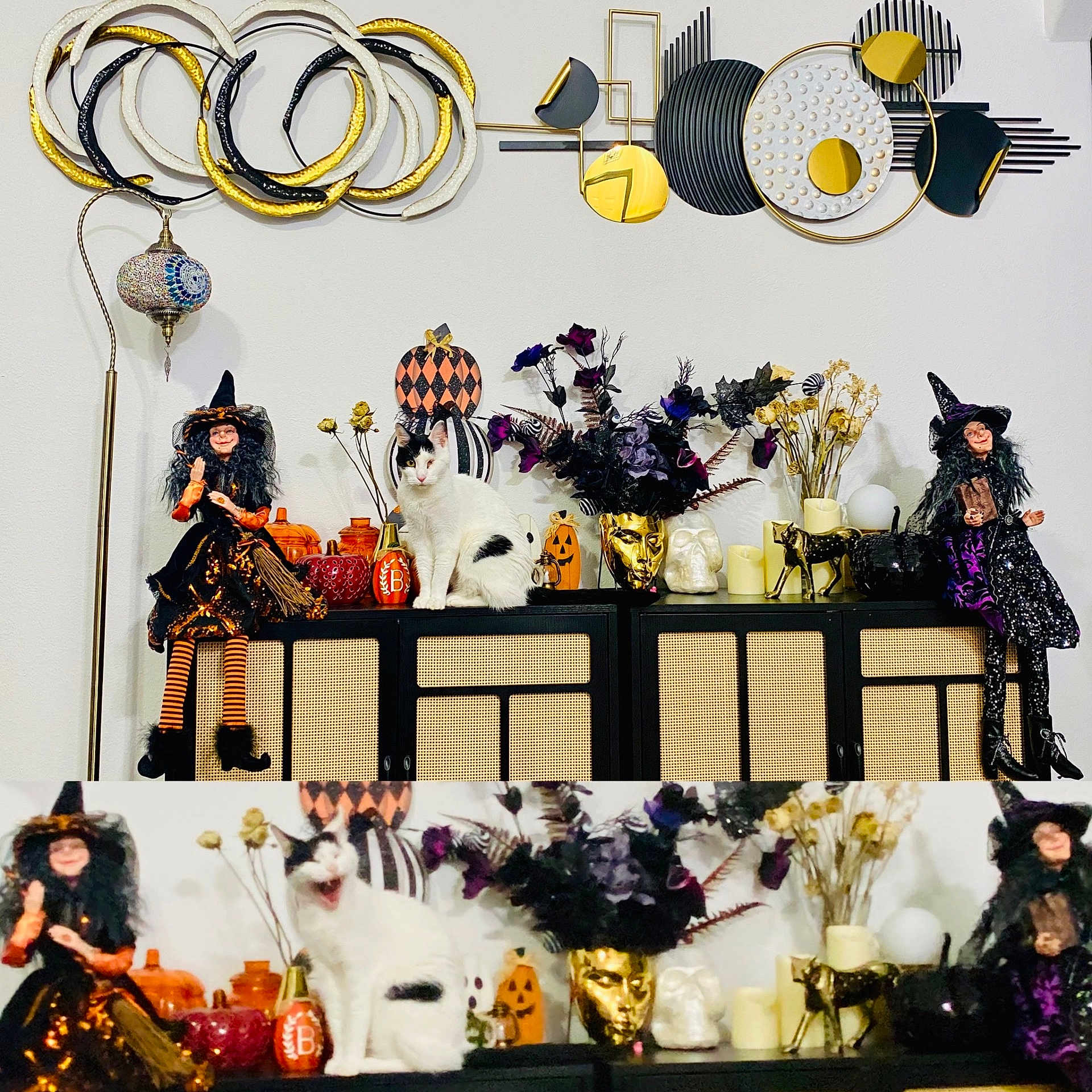 Left Eye is registered to the contest to win money with this photo: cat, witch_doll, pumpkin_decoration, dried_flowers, vase, cabinet, wall_art, decorative_lamp, black_and_white_cat, autumn_decor, holiday_theme, figurine, floral_arrangement, gold_decor, orange_decoration, indoor, sitting, ornament, festive, home_decor