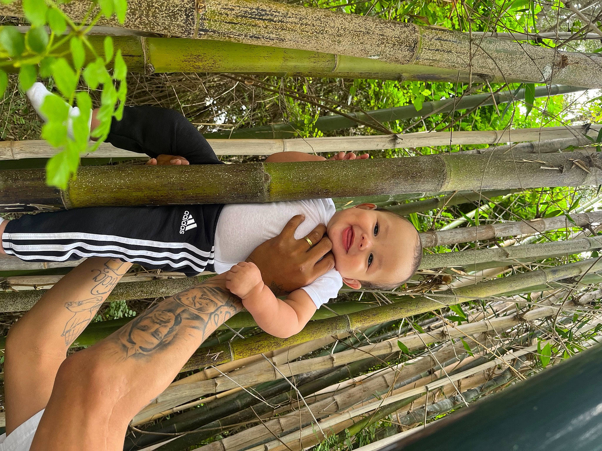 Andres is registered to the contest to win money with this photo: baby_toddler_clothing, botany, child, foot, fun, grass, happy, human_leg, joy, leaf, leisure, pattern, people_in_nature, person, plant, sitting, thigh, toddler, tree, trunk