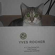 Nounouche participe au concours pour gagner de l'argent avec cette photo :